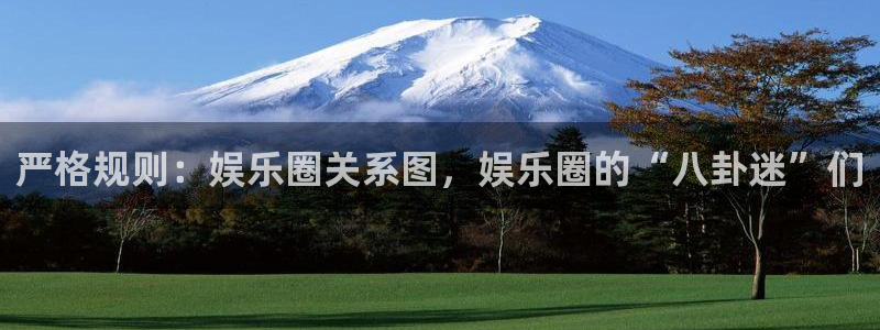 辉达平台吧