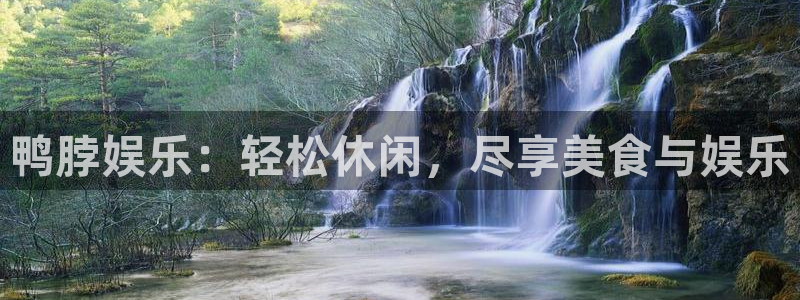 辉达平台网页版登