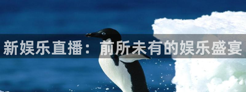 辉达平台注册官网入口