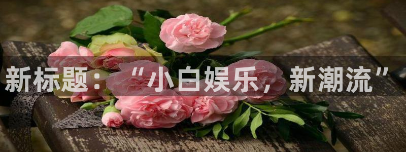 辉达平台是啥