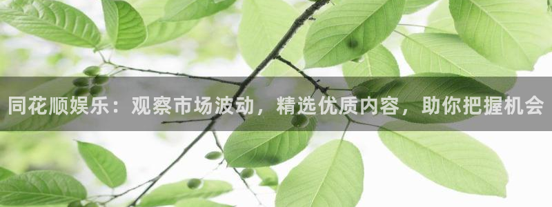 壹号平台娱乐
