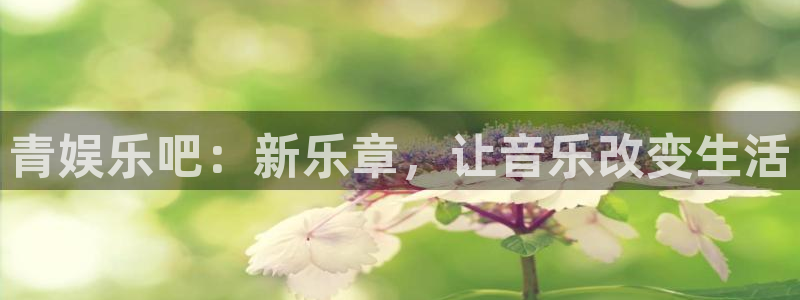 辉达平台加拿大下载