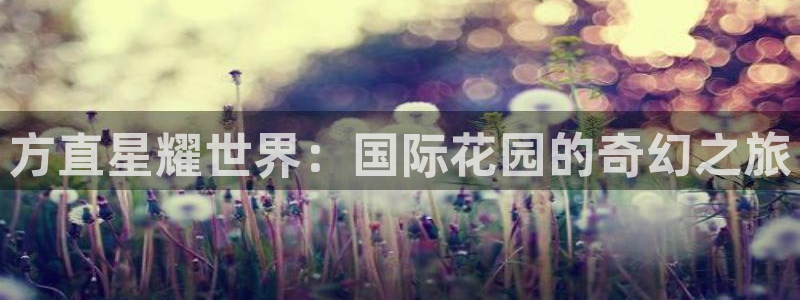 辉达平台游戏试玩