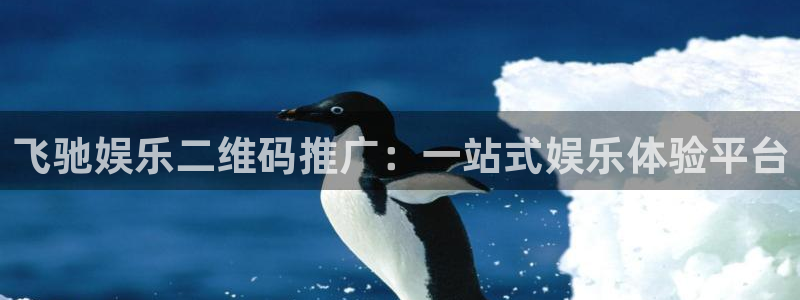壹号大舞台,有梦你就来