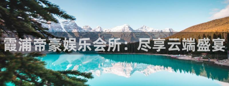 辉达平台官网版