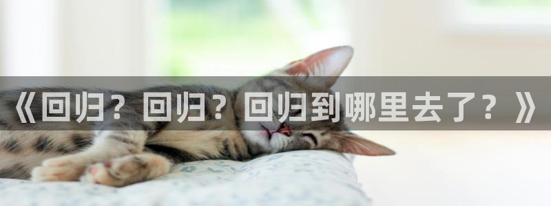 壹号大舞台下载