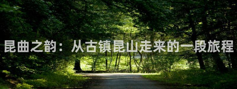 壹号大舞台娱乐传媒
