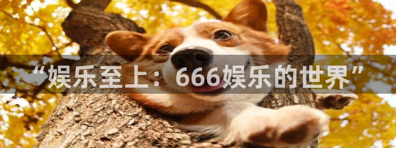 辉达平台平台登录入口