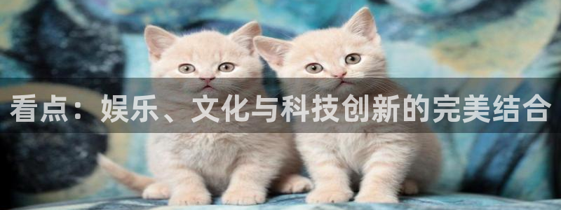 辉达平台游app