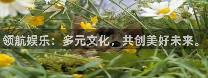 辉达平台预测pc在线预测网址