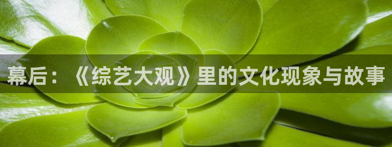 伟德国际集团 壹号(one game)