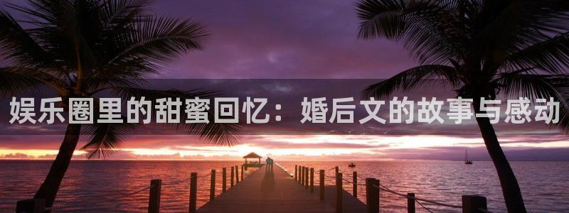 辉达平台.ccmpc正版