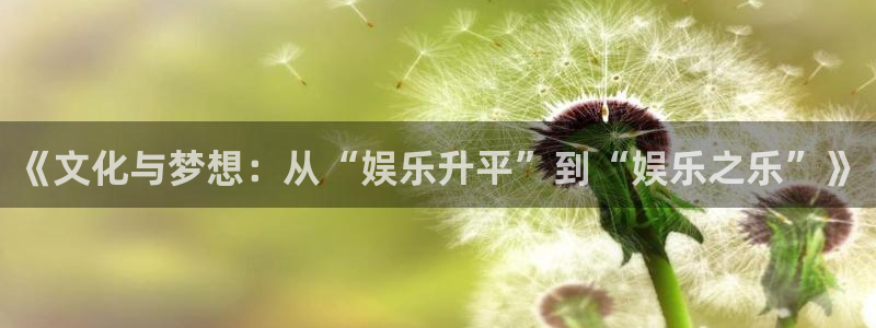 辉达平台在线预测：《文化与梦想：从“娱乐升平”到“娱乐之乐”》