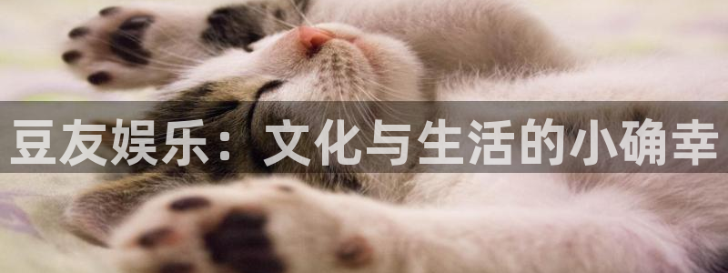 辉达平台官网入口：豆友娱乐：文化与生活的小确幸