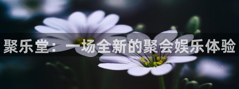 辉达平台app下载：聚乐堂：一场全新的聚会娱乐体验