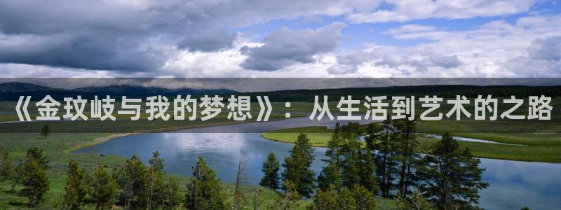 辉达平台软件：《金玟岐与我的梦想》：从生活到艺术的之路