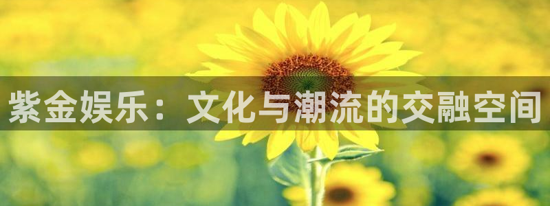 辉达平台app最新版：紫金娱乐：文化与潮流的交融空间