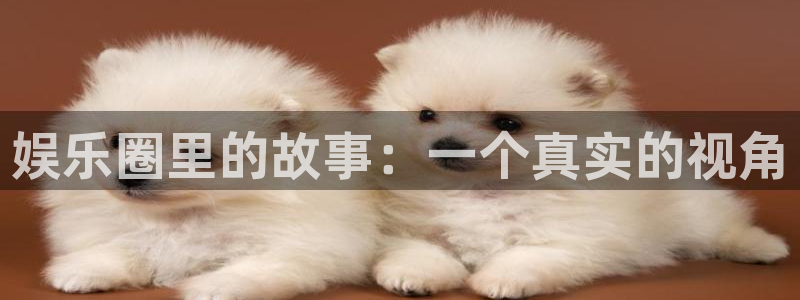 辉达平台可靠吗：娱乐圈里的故事：一个真实的视角