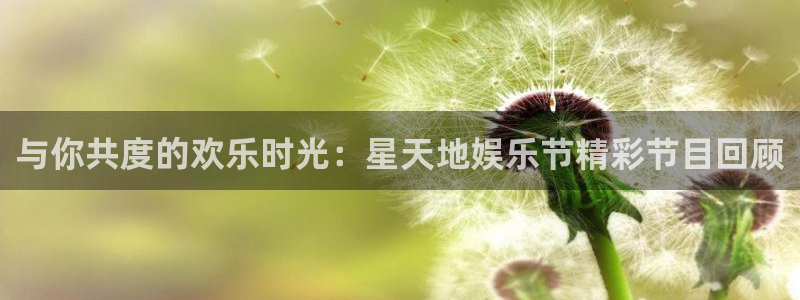 辉达平台官网版下载链接：与你共度的欢乐时光：星天地娱乐节精彩节目回顾