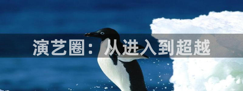 辉达平台平台：演艺圈：从进入到超越