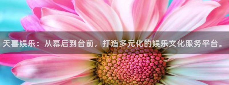辉达平台平台官方入口下载：天喜娱乐：从幕后到台前，打造多元化的娱乐文化服务平台。
