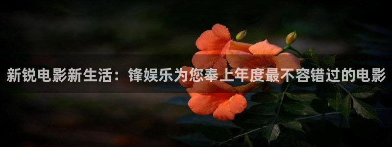辉达平台,apk：新锐电影新生活：锋娱乐为您奉上年度最不容错过的电影