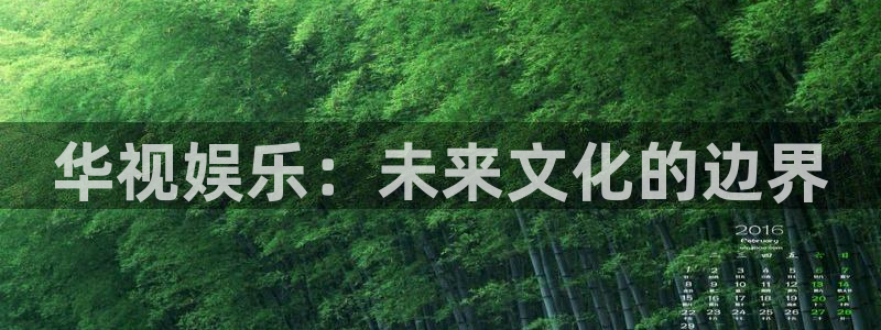 辉达平台app 是什么：华视娱乐：未来文化的边界