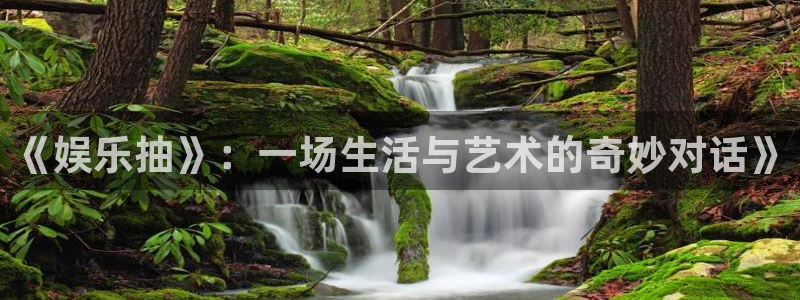 辉达平台苹果手机下载链接：《娱乐抽》：一场生活与艺术的奇妙对话》