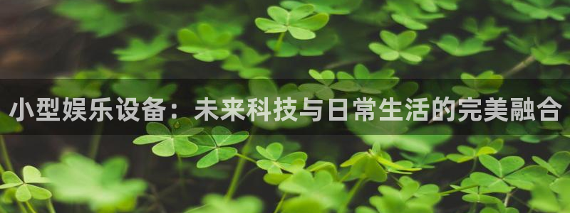 辉达平台下载二维码：小型娱乐设备：未来科技与日常生活的完美融合