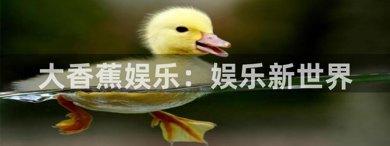 辉达平台下载链接：大香蕉娱乐：娱乐新世界