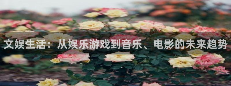 壹号top娱乐：文娱生活：从娱乐游戏到音乐、电影的未来趋势