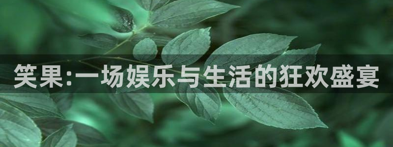 辉达平台ccm赏金女王：笑果:一场娱乐与生活的狂欢盛宴